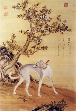  Grey Oil Painting - Cangshuiqiu a Chinese greyhound from Ten Prized Dogs Album Lang shining Giuseppe Castiglione old China ink